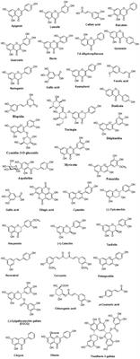 Dietary Polyphenols and Their Role in Oxidative Stress-Induced Human Diseases: Insights Into Protective Effects, Antioxidant Potentials and Mechanism(s) of Action